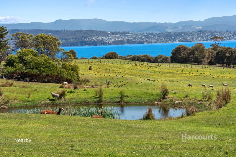 Photo - 5 Rainbow Terrace, Opossum Bay TAS 7023 - Image 13