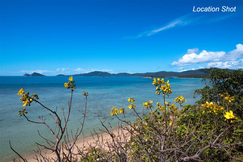 Photo - 5 Rattray Avenue, Hideaway Bay QLD 4800 - Image 14