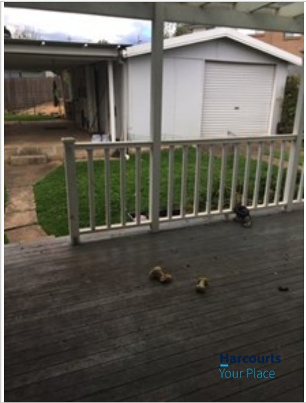 Photo - 5 Redwood Street, Blacktown NSW 2148 - Image 11