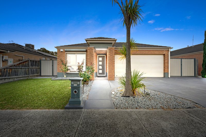 Photo - 5 Rowanval Terrace, Mernda VIC 3754 - Image 1