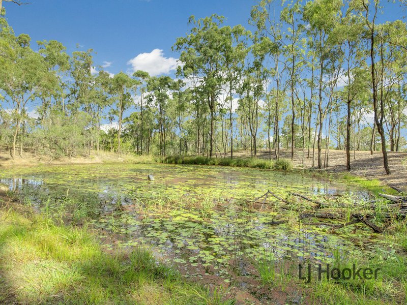 Photo - 5 Saggitarius Street, River Ranch QLD 4680 - Image 15