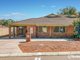 Photo - 5 Sander Court, Bentley WA 6102 - Image 24