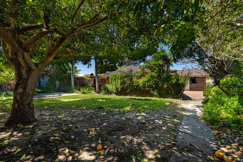 Photo - 5 Sanders Loop, Kardinya WA 6163 - Image 22