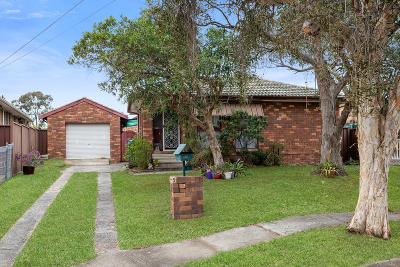 5 Scherell Place, Shalvey NSW 2770