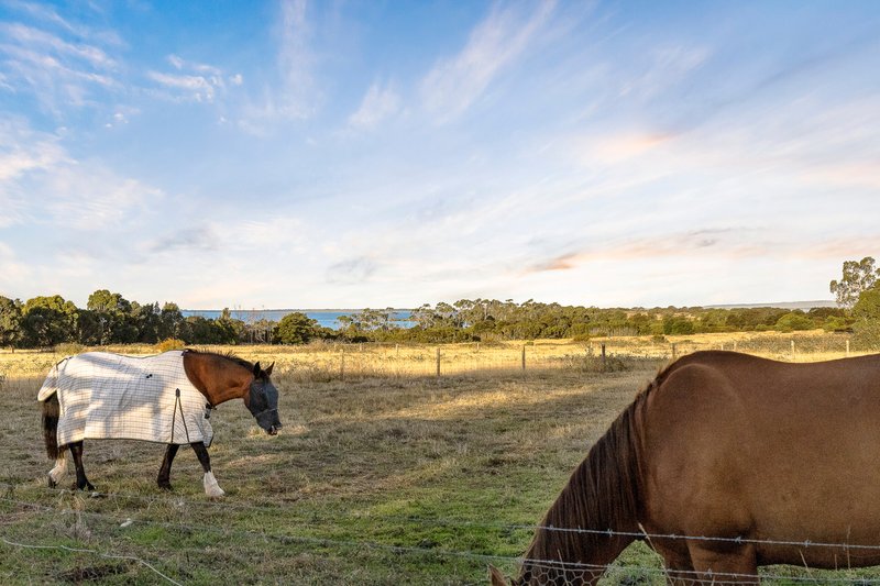 Photo - 5 Seaglades Lane, Bittern VIC 3918 - Image 3