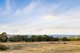 Photo - 5 Seaglades Lane, Bittern VIC 3918 - Image 17