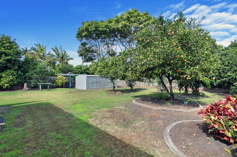 Photo - 5 Sealink Drive, Point Vernon QLD 4655 - Image 24