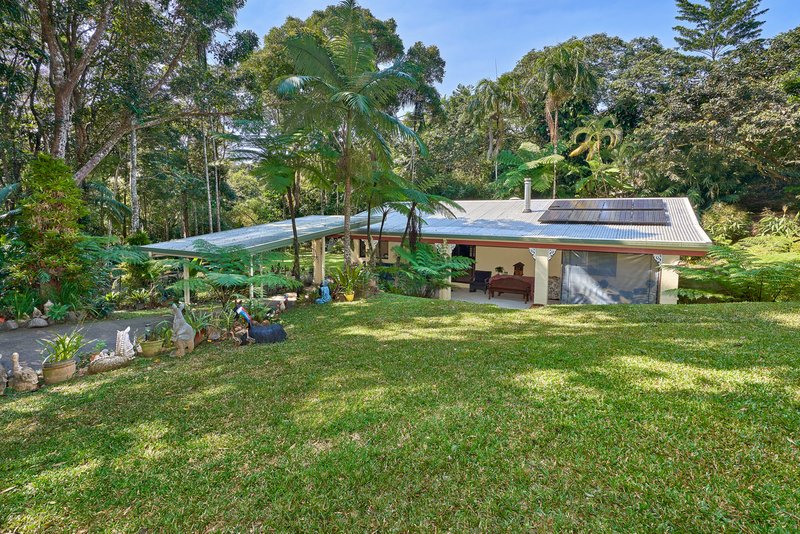 Photo - 5 Shane Court, Kuranda QLD 4881 - Image 11