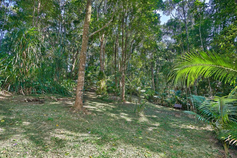 Photo - 5 Shane Court, Kuranda QLD 4881 - Image 16