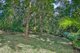 Photo - 5 Shane Court, Kuranda QLD 4881 - Image 16