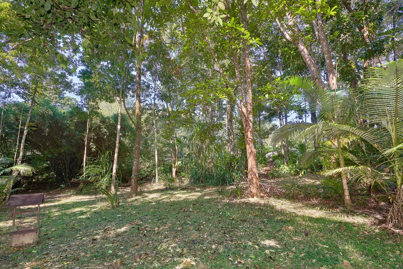 Photo - 5 Shane Court, Kuranda QLD 4881 - Image 17