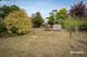 Photo - 5 Sharps Road, Lenah Valley TAS 7008 - Image 34