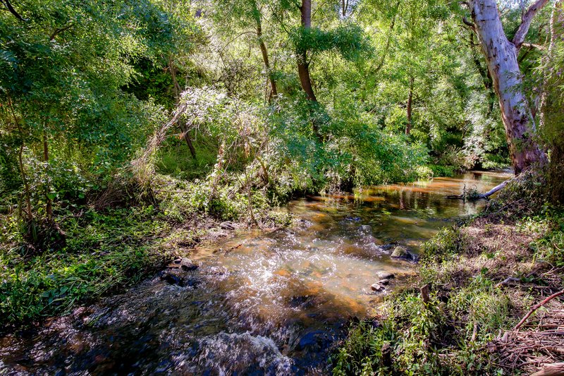 Photo - 5 Shepherd Court, Coromandel Valley SA 5051 - Image 20