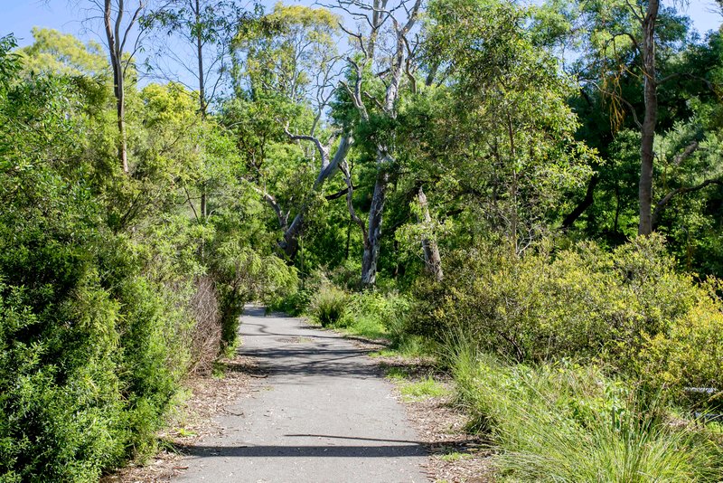 Photo - 5 Shepherd Court, Coromandel Valley SA 5051 - Image 21