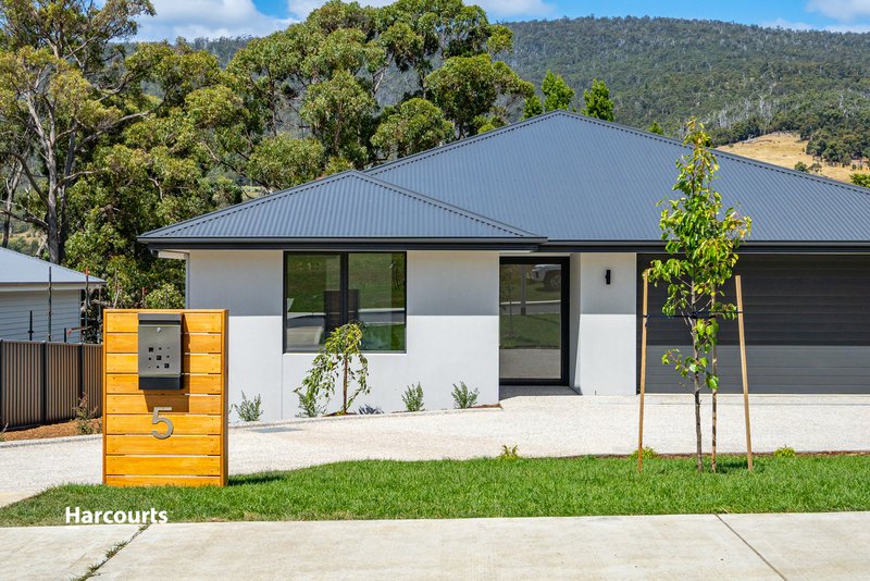 5 Southbridge Place, Huonville TAS 7109