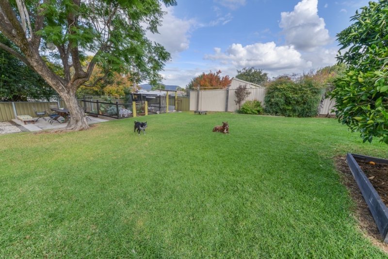 Photo - 5 Tebbutt Street, Quirindi NSW 2343 - Image 13