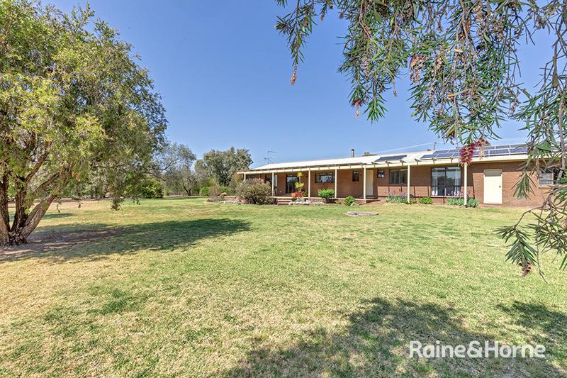 Photo - 5 Telfer Road, Tamworth NSW 2340 - Image 17