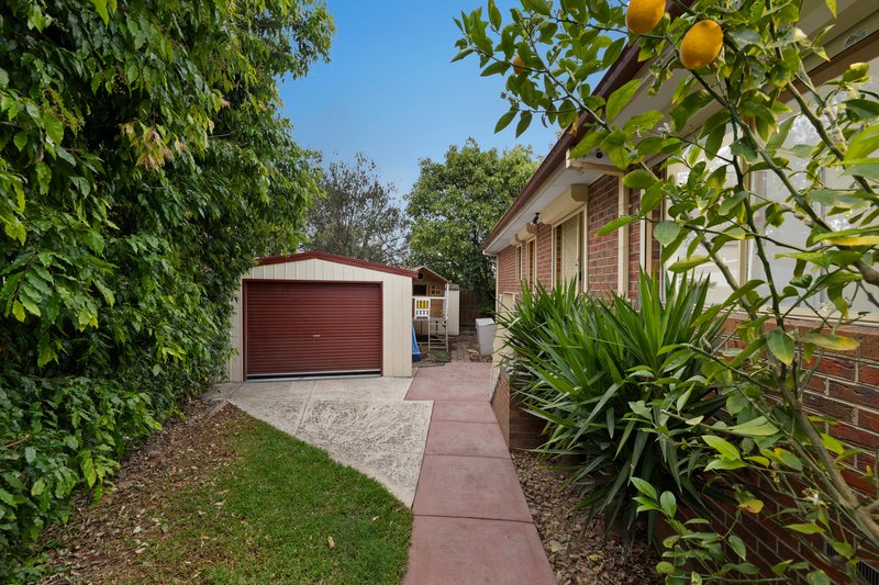 Photo - 5 The Briars , Lysterfield VIC 3156 - Image 15