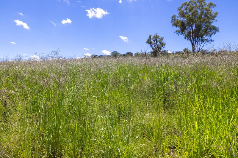 Photo - 5 Tiabundie Road, Barraba NSW 2347 - Image 18