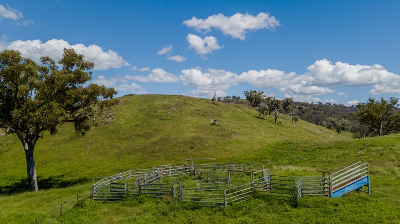 Photo - 5 Tiabundie Road, Barraba NSW 2347 - Image 19