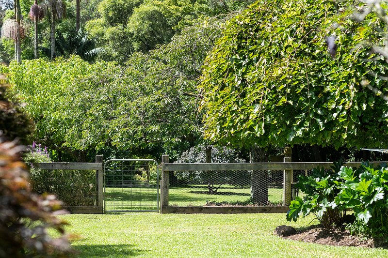 Photo - 5 Tourist Road, Beaumont NSW 2577 - Image 26