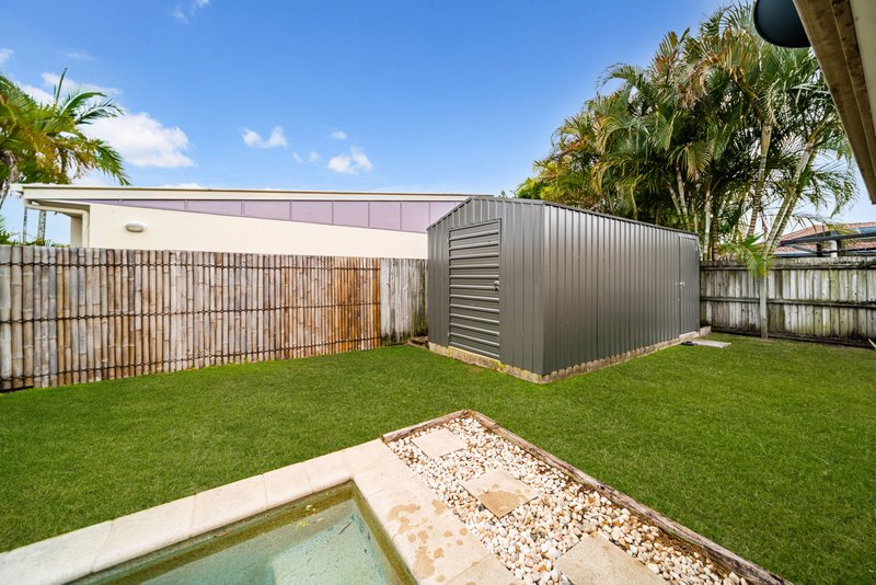 Photo - 5 Trinity Crescent, Sippy Downs QLD 4556 - Image 3