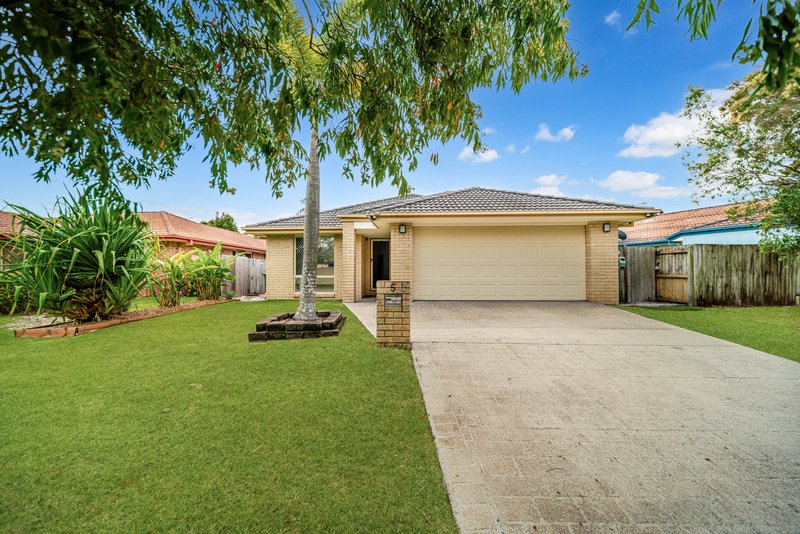 Photo - 5 Trinity Crescent, Sippy Downs QLD 4556 - Image 5