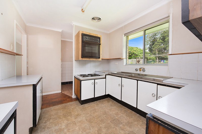 Photo - 5 Tulip Lane, Buderim QLD 4556 - Image 3