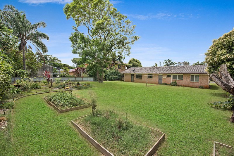 Photo - 5 Tulip Lane, Buderim QLD 4556 - Image 6