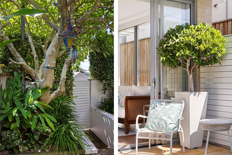 Photo - 5 Undercliff Road, Freshwater NSW 2096 - Image 16