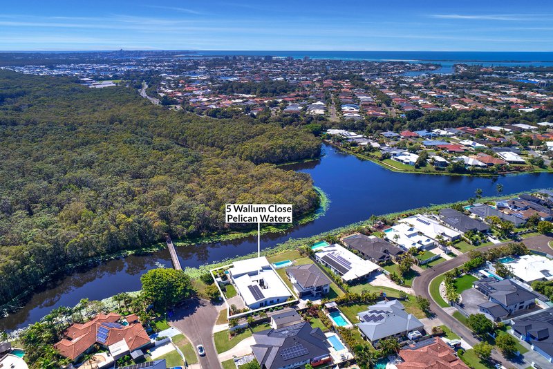 Photo - 5 Wallum Close, Pelican Waters QLD 4551 - Image 27