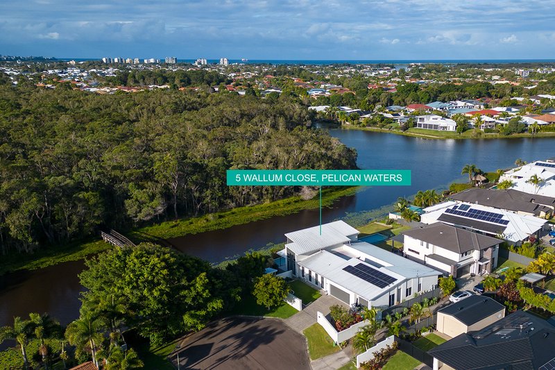 Photo - 5 Wallum Close, Pelican Waters QLD 4551 - Image 4