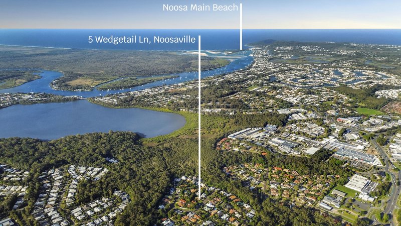 Photo - 5 Wedgetail Lane, Noosaville QLD 4566 - Image 2