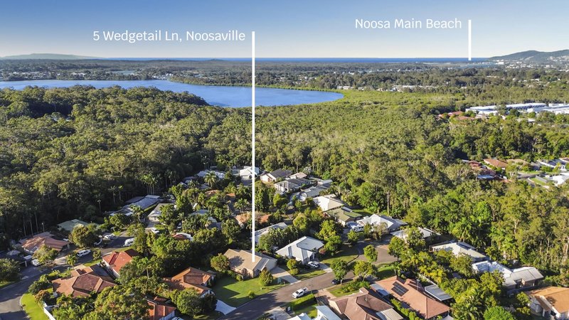 Photo - 5 Wedgetail Lane, Noosaville QLD 4566 - Image 15