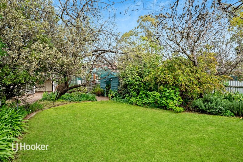 Photo - 5 Windsor Avenue, Colonel Light Gardens SA 5041 - Image 21