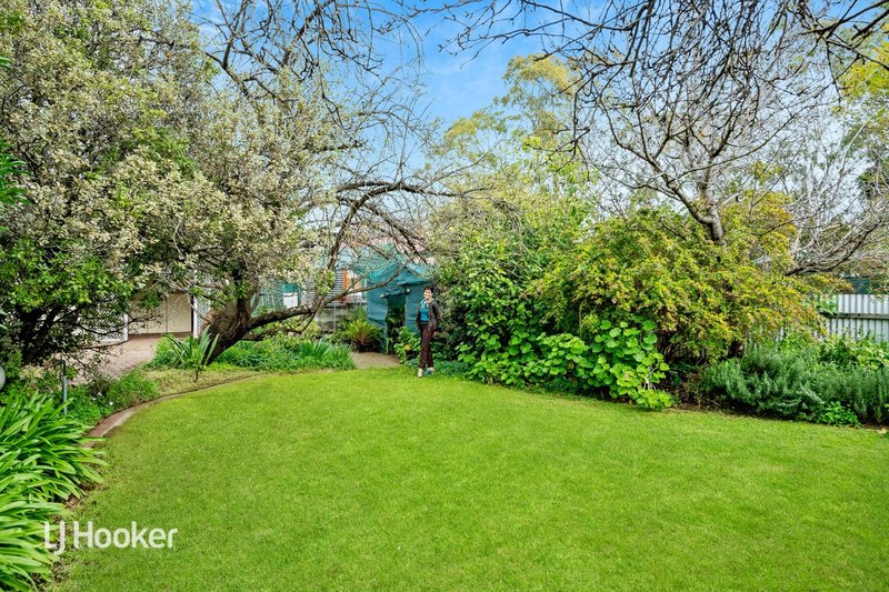 Photo - 5 Windsor Avenue, Colonel Light Gardens SA 5041 - Image 25