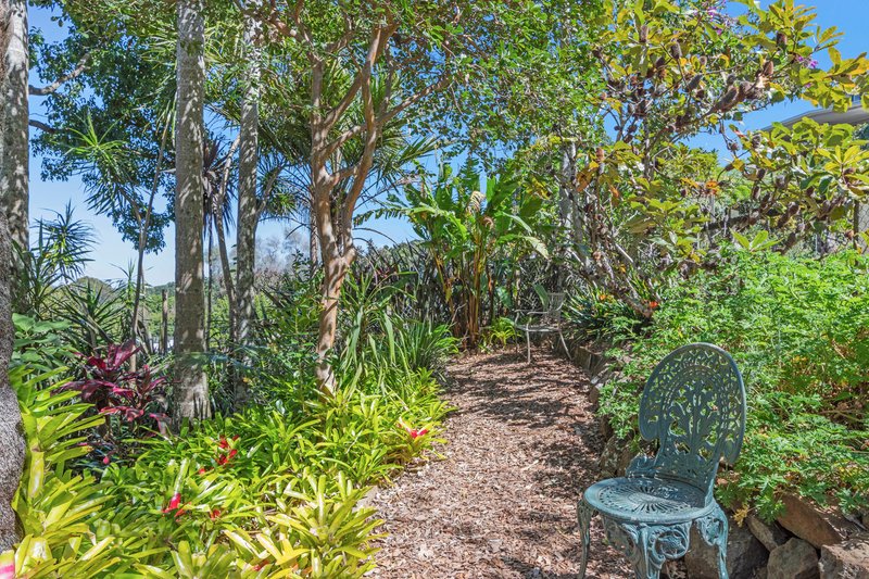 Photo - 5 Witherby Crescent, Tamborine Mountain QLD 4272 - Image 24
