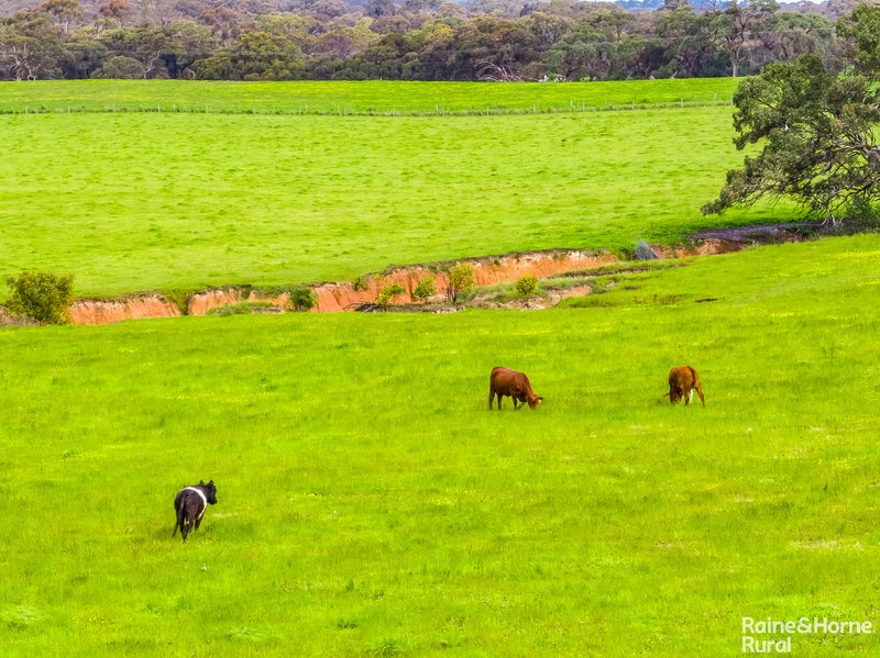 Photo - 50 & 51 Kokoda Road, Mosquito Hill SA 5214 - Image 24