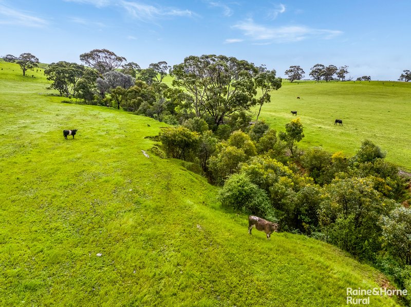 Photo - 50 & 51 Kokoda Road, Mosquito Hill SA 5214 - Image 25