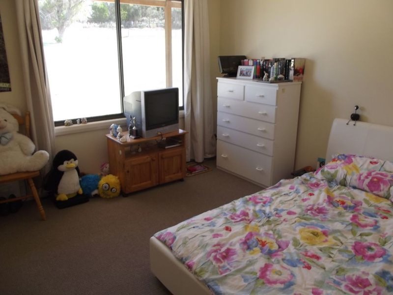 Photo - 50 Ansons Bay Road, St Helens TAS 7216 - Image 13