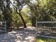 Photo - 50 Bastin Road, Howard Springs NT 0835 - Image 2