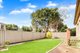 Photo - 50 Bombay Street, Lidcombe NSW 2141 - Image 6