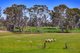 Photo - 50 Braikfield Avenue, Kemps Creek NSW 2178 - Image 16
