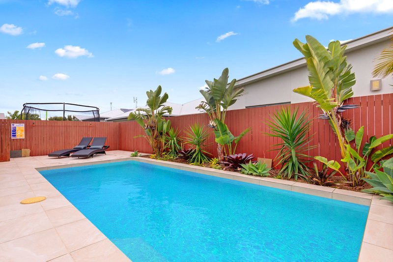 Photo - 50 Brampton Crescent, Mountain Creek QLD 4557 - Image 8