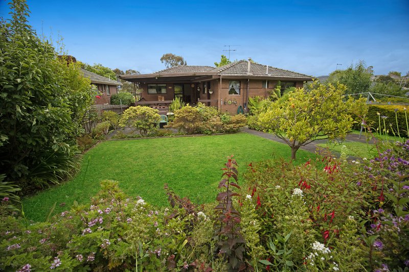 Photo - 50 Bryson Grove, Templestowe Lower VIC 3107 - Image 20