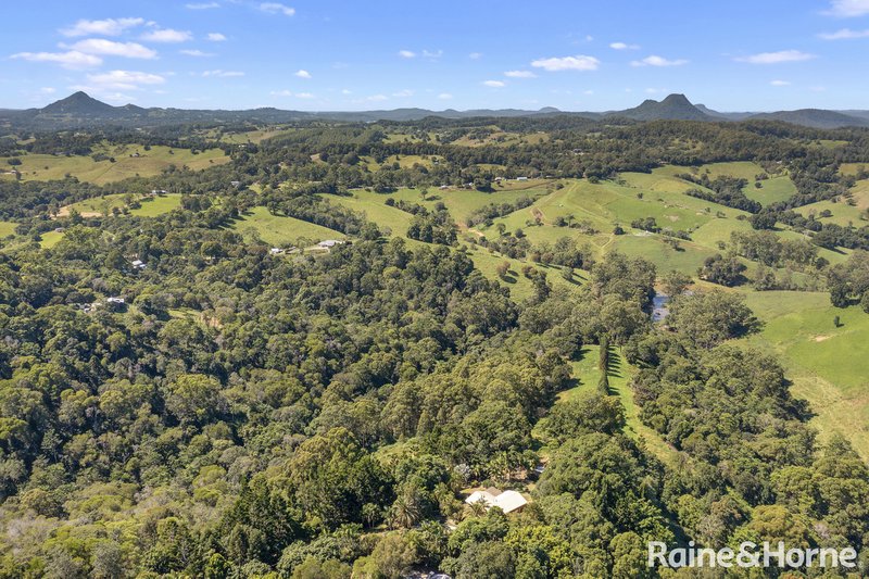 50 Butterfly Lane, Black Mountain QLD 4563