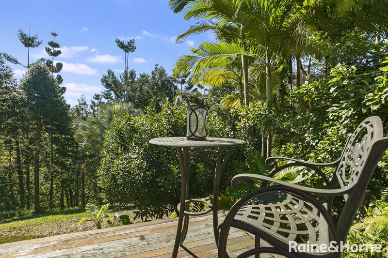 Photo - 50 Butterfly Lane, Black Mountain QLD 4563 - Image 13