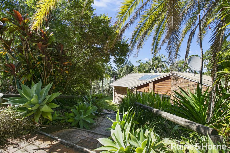 Photo - 50 Butterfly Lane, Black Mountain QLD 4563 - Image 16