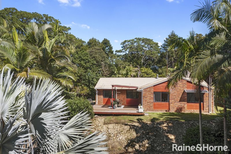 Photo - 50 Butterfly Lane, Black Mountain QLD 4563 - Image 19