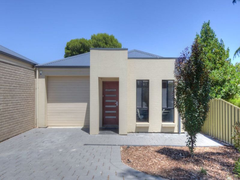 Photo - 50 Cashel St , St Marys SA 5042 - Image 2